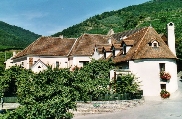Festői szőlőskert, vörös cseréptetőkkel és zöld szőlővel, dombokkal körülvéve.