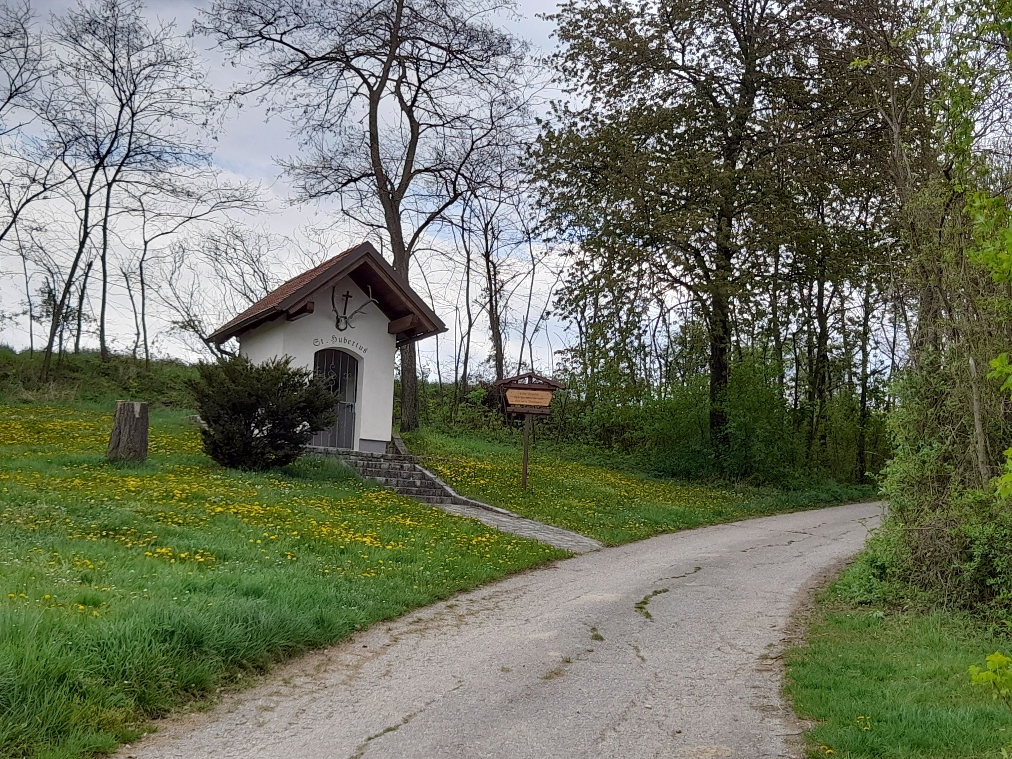 Közösség XXL-kör