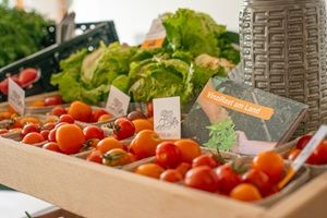 VInziRast am Land - termelői értékesítés