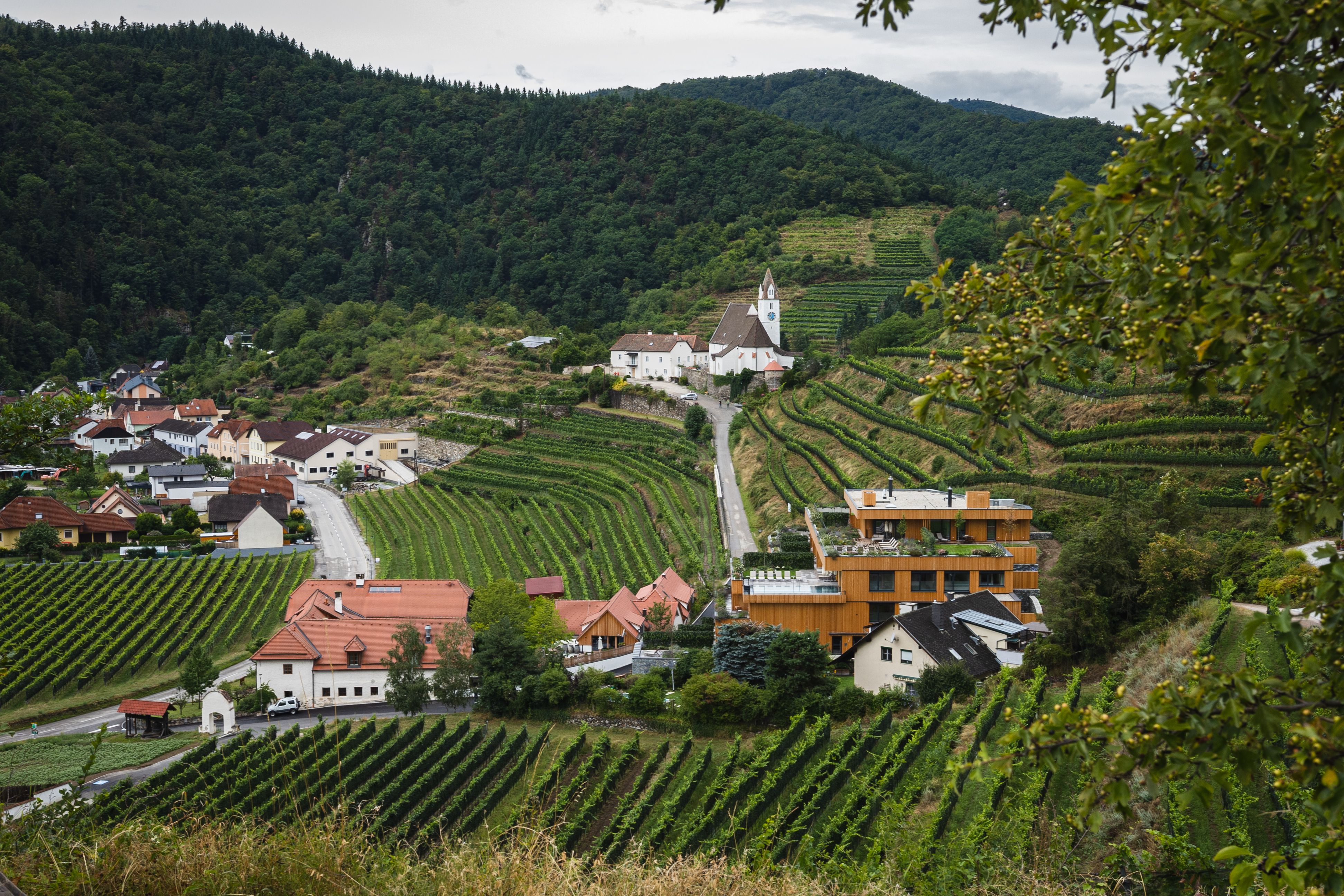 Sanfte Hügel, die mit üppigen Weinreben bedeckt sind, laden zu einem entspannenden Spaziergang ein. Die charmanten Häuser und die kleine Kirche fügen sich harmonisch in die malerische Landschaft ein, während die Wolken sanft über die Berge ziehen. Hier erleben Besucher die perfekte Kombination aus Natur und Kultur.