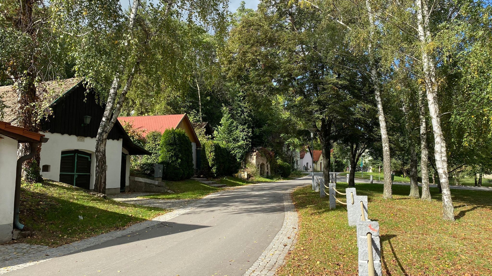 Festői utca (pincesor) kis házakkal és fákkal, vidéki környezetben.