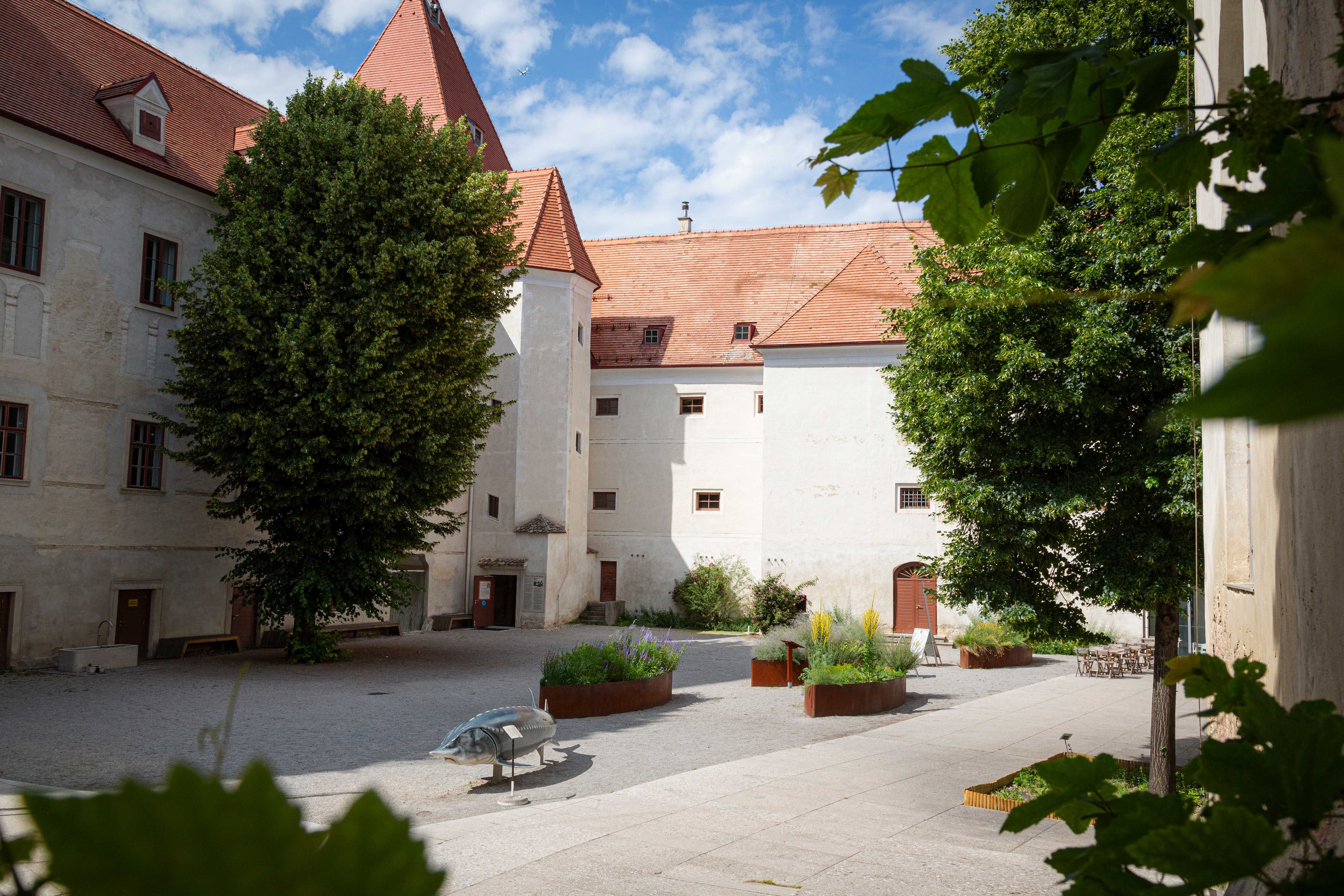 RC_Schloss_Orth_(c)Donau_Niederoesterreich_Barbara_Elser_8