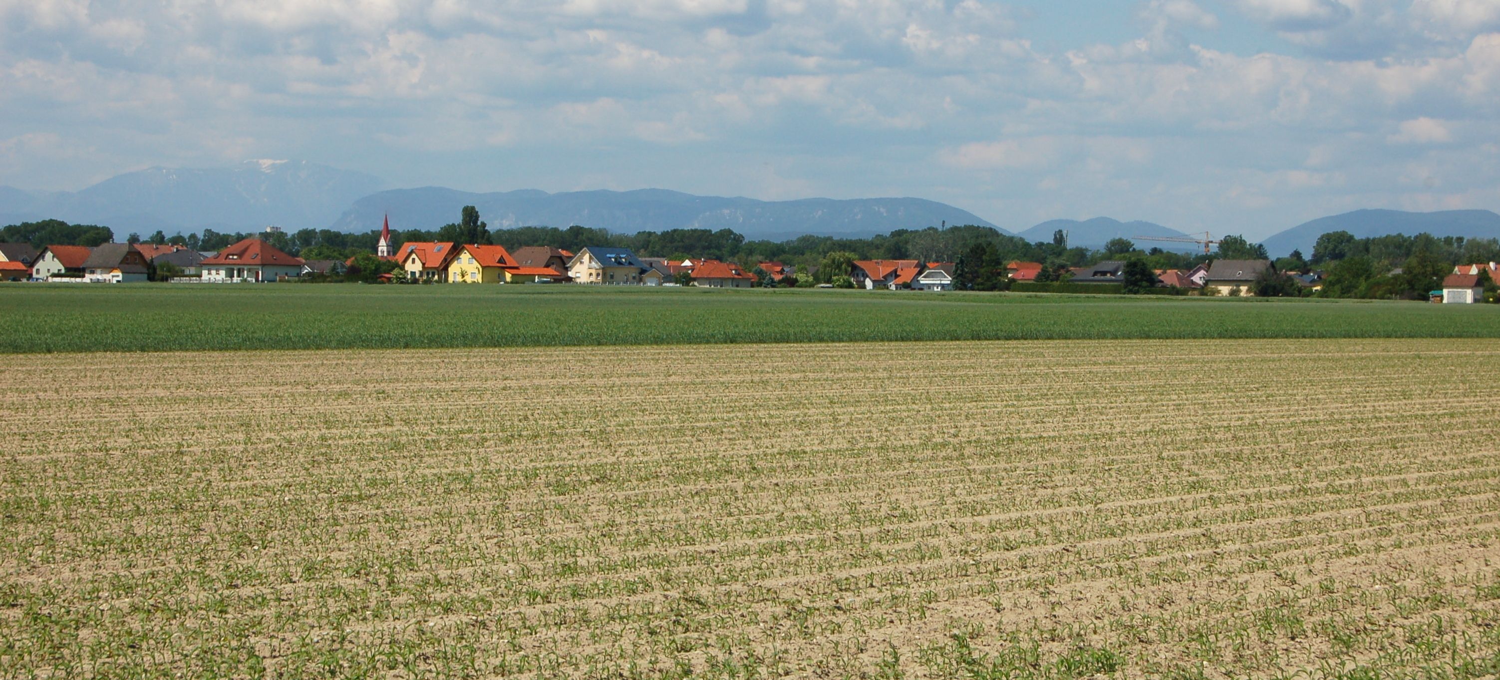 Tájkép mezőkkel és faluval a háttérben, hegyek a horizonton.