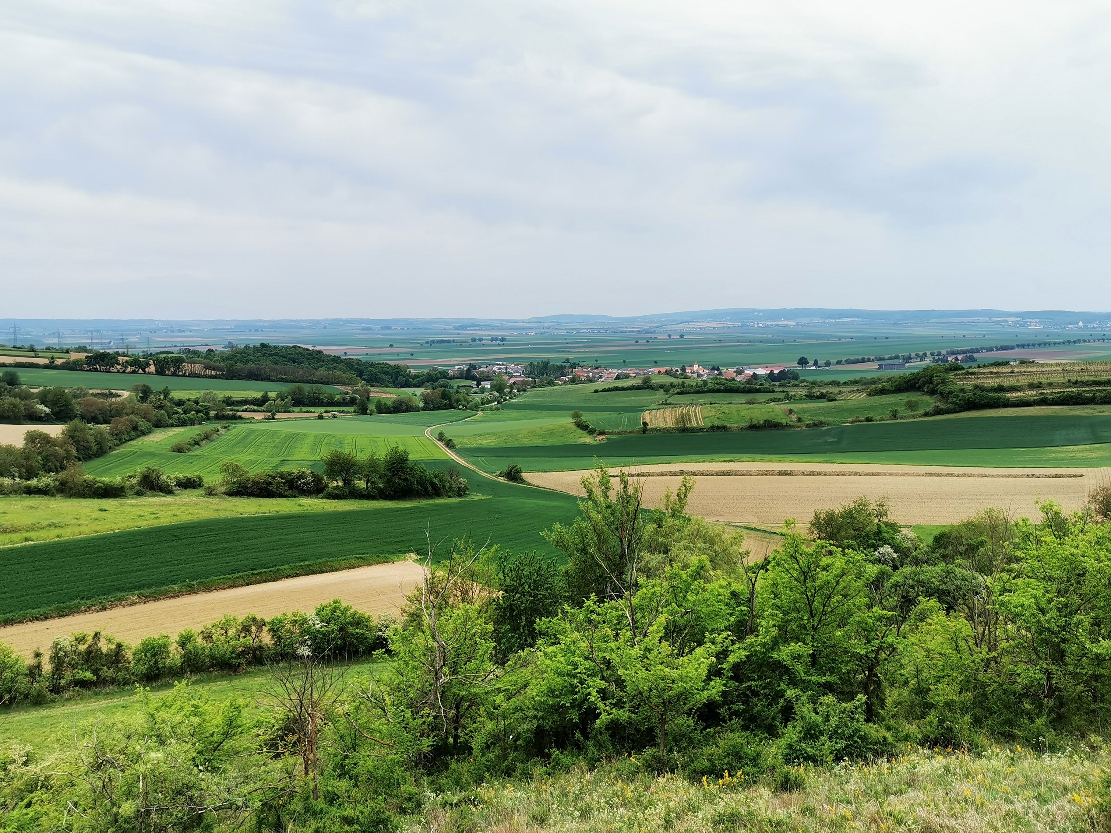 Tájkép a Weinviertelben, mezőkkel és dombokkal.