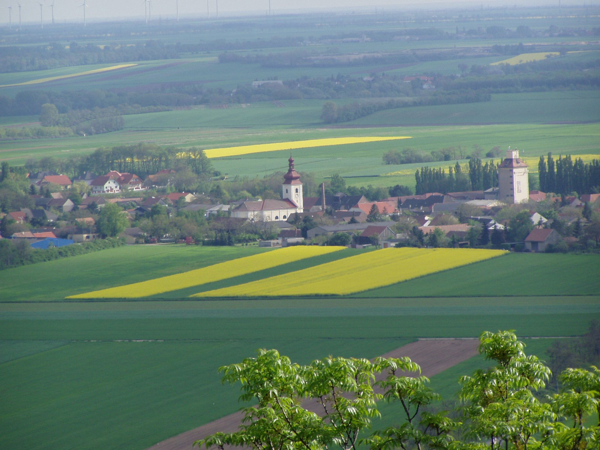 Tájkép faluval, templommal és mezőkkel Prellenkirchenben.