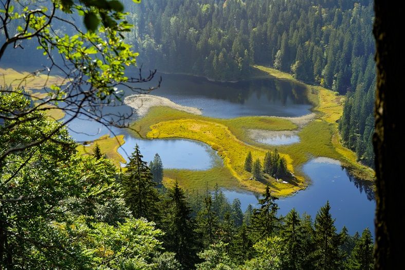 Kilátás az Obersee-re