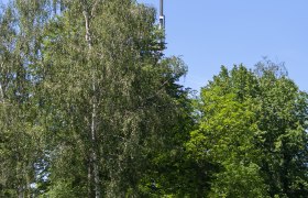 Húzzuk ki magasra a darut, © JUFA Raabs