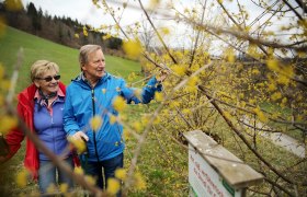 Weinburg nature trail, &copy; weinfranz.at