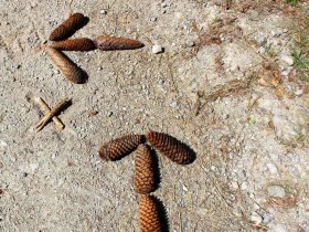 Entscheidungen, &copy; Mostviertel Tourismus / zunder zwo