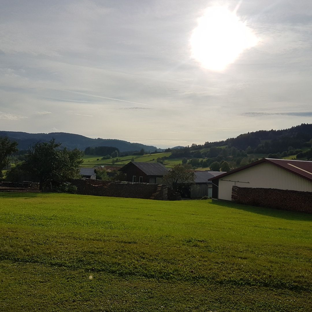 Falusi út