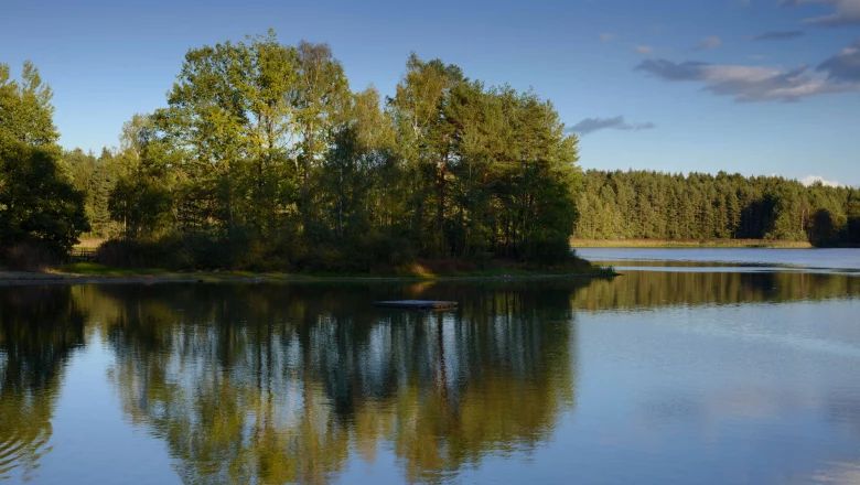 Nyugodt tó, a háttérben a vízben tükröződő fákkal.