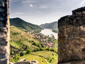 Blick auf Spitz, Ruine Hinterhaus, &copy; Wachau-Nibelungengau-Kremstal