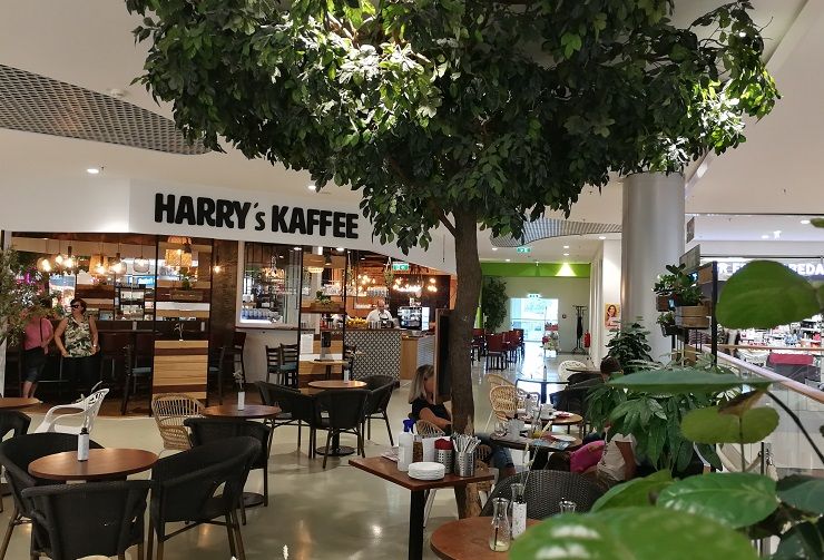 A Harry's Kaffee nevű kávézó belső nézete, asztalokkal, székekkel és egy nagy műfával.