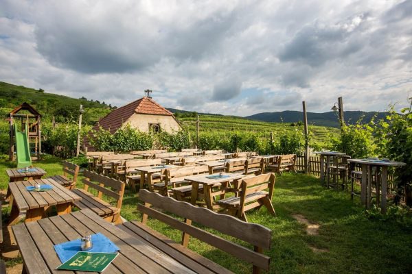 Höllmüller winery garden with wine tavern, © Familie Höllmüller