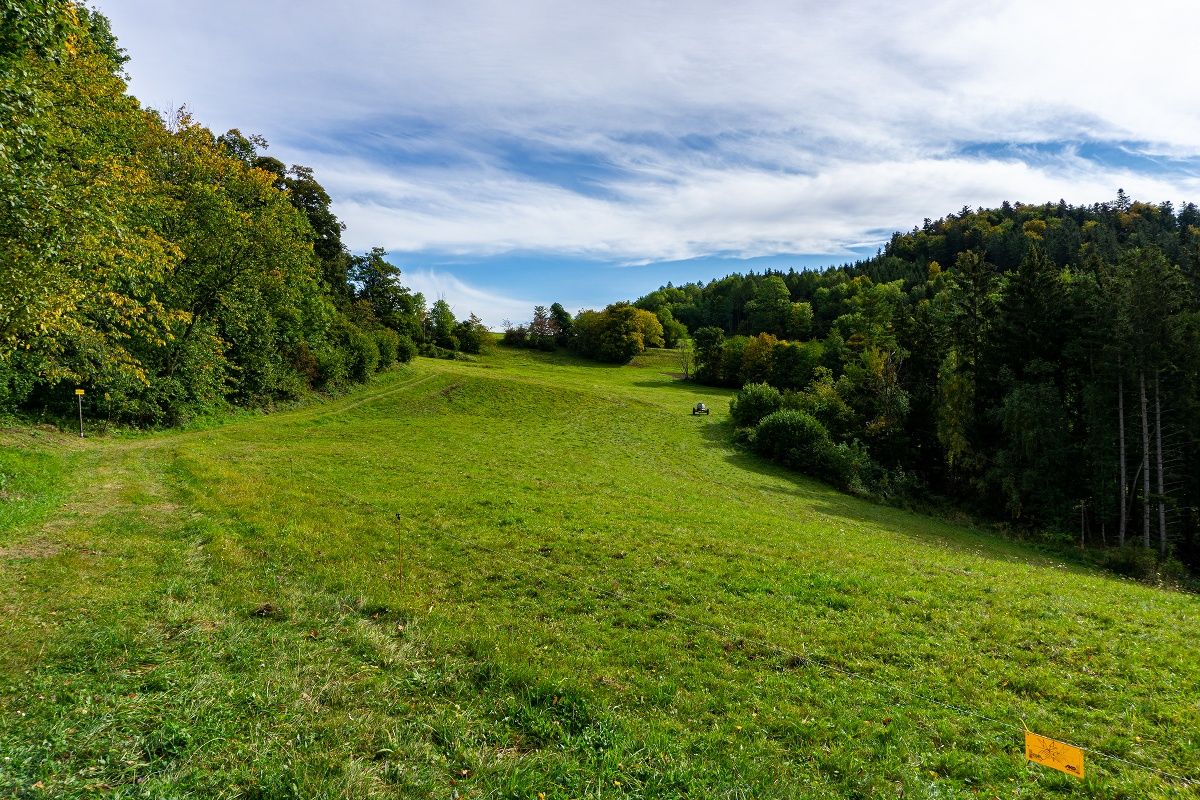 Traunfellner út