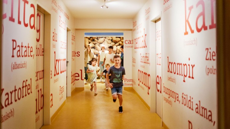 Schweiggers potato world, &copy; Waldviertel Tourismus, Gerhard Wasserbauer