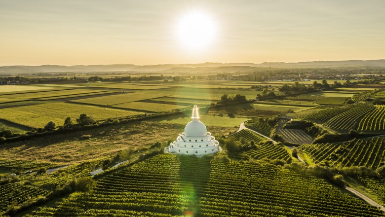 Mad&aacute;rt&aacute;vlatb&oacute;l a szőlőskertek k&ouml;zep&eacute;n &aacute;ll&oacute; szt&uacute;pa