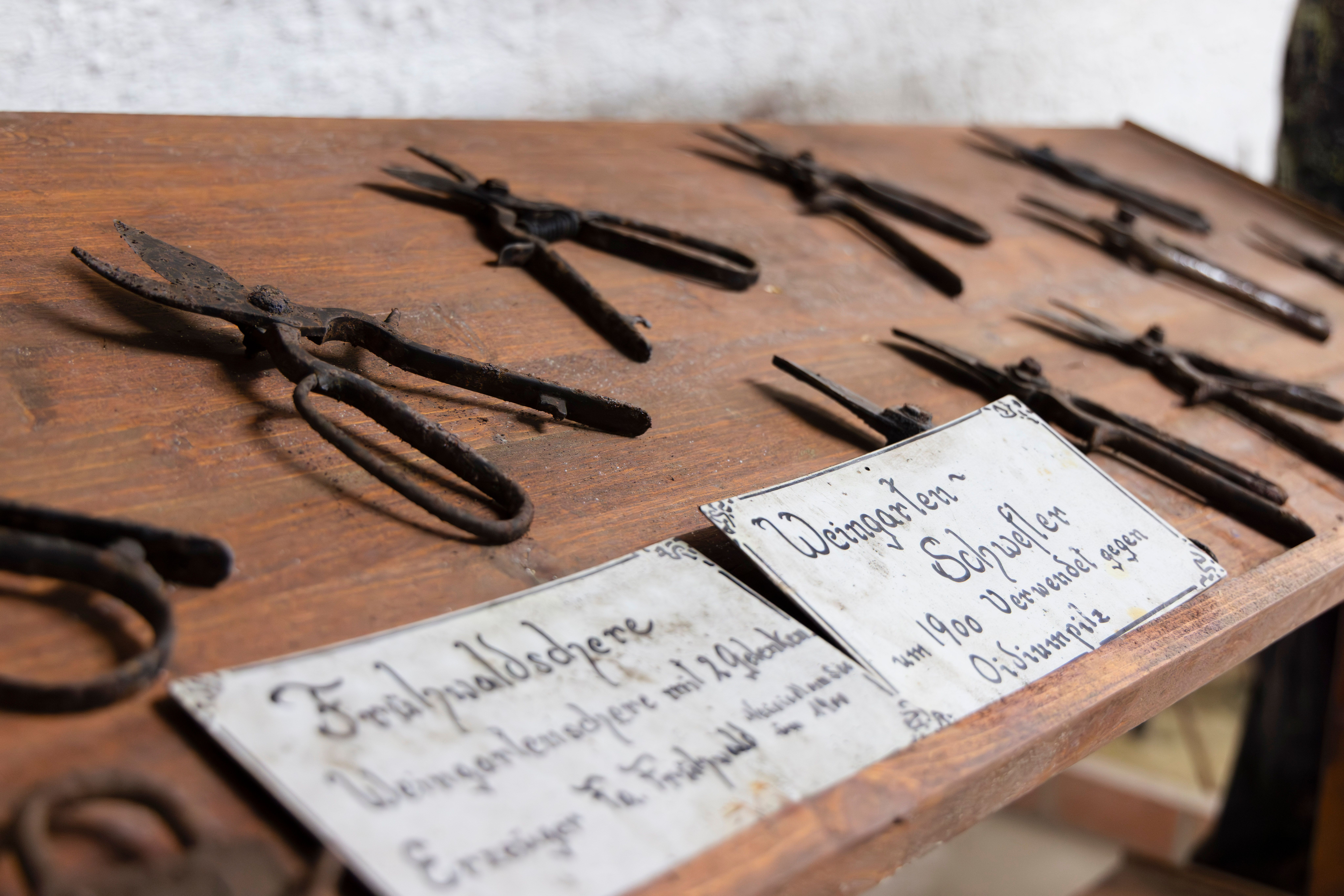 Történelmi szőlészeti olló