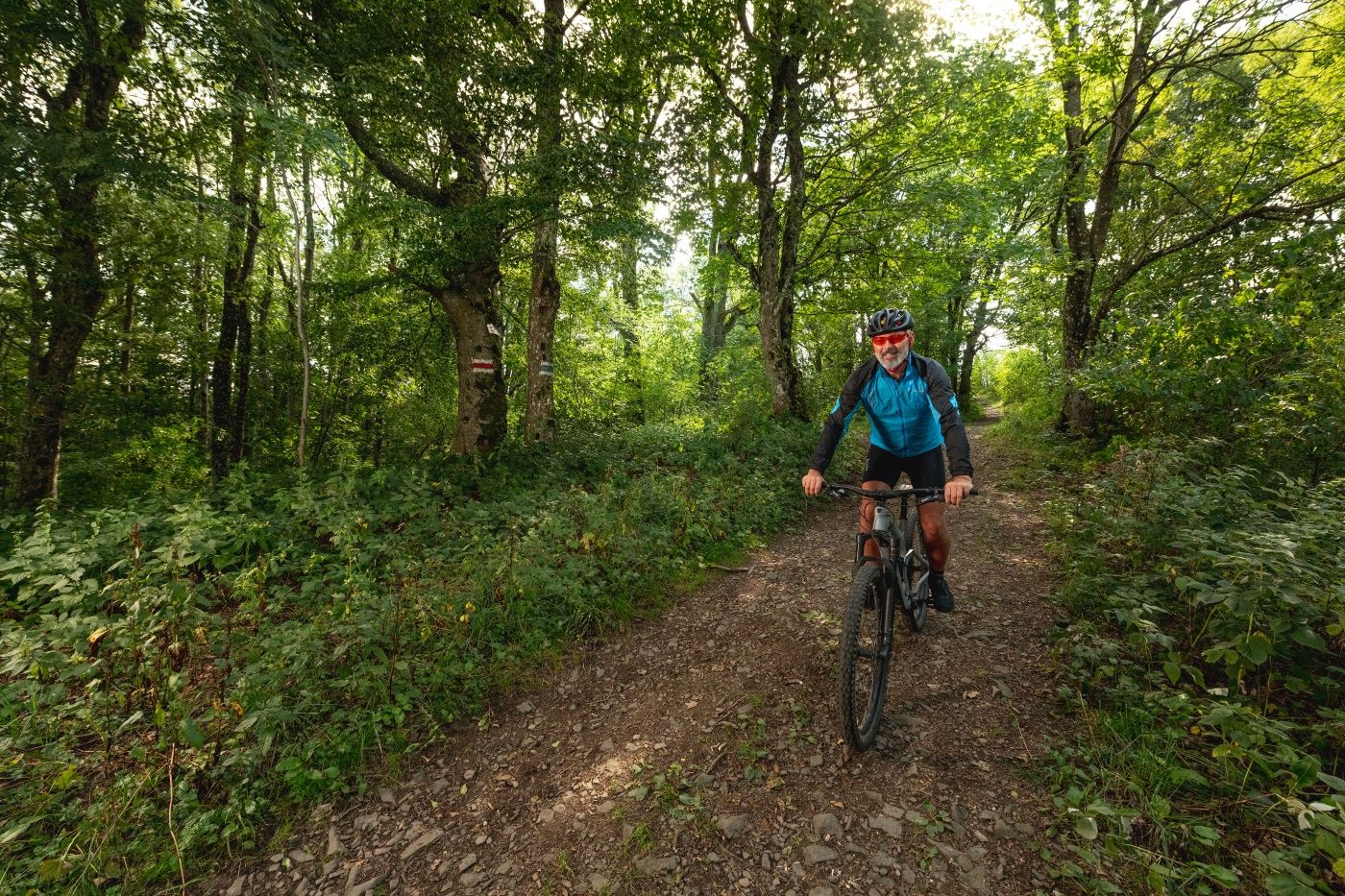 MTB Bécsi-erdő