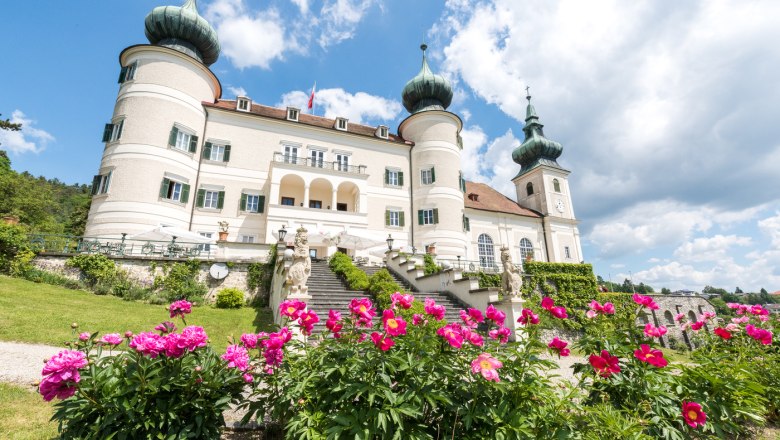 South side with castle café terrace with peonies, © Schloss Artstetten