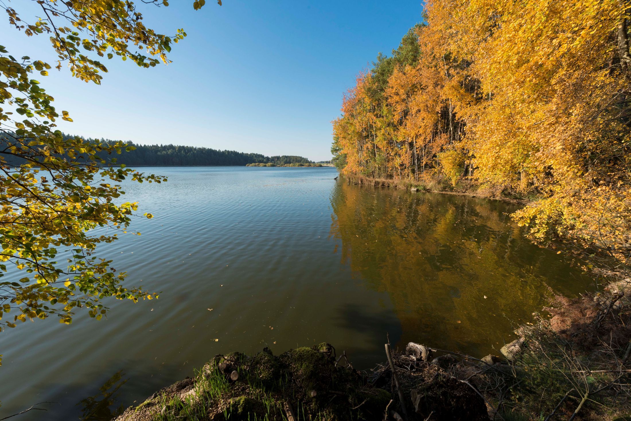 Őszi táj tóval és színes lombokkal a Waldviertelben.