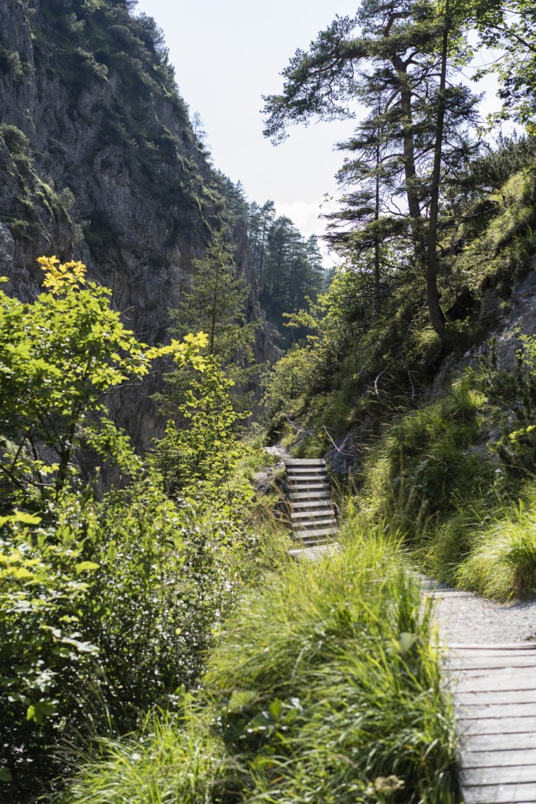 Fából készült ösvényeken az Ötscher szurdokain keresztül., © Niederösterreich Werbung/www.stefaniewinter.at