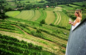 View from the Traismauer corkscrew, &copy; Ahrenberger Kellergasse