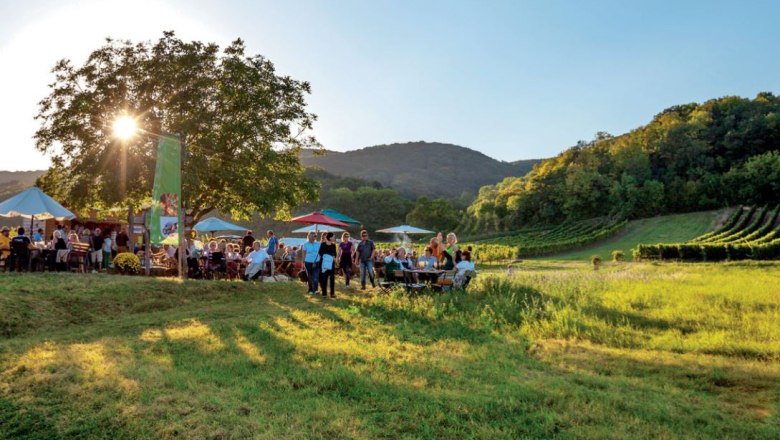 Genussmeile ínyencfesztivál a termálrégióban, © Wienerwald Tourismus/Dehelean