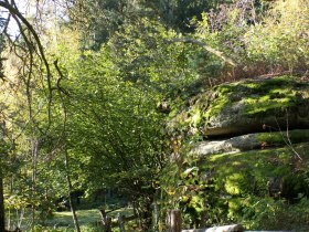 Pfarrerstuhl, &copy; Gemeinde Altmelon