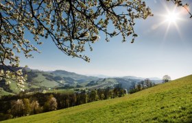 Photo point St. Georgen an der Klaus - Church, © schwarz-koenig.at