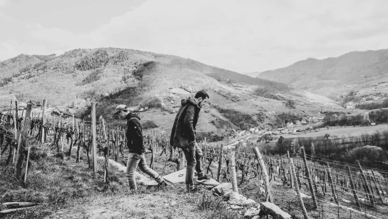 Trench workshop, Spitzer Graben, &copy; Pamela Schmatz