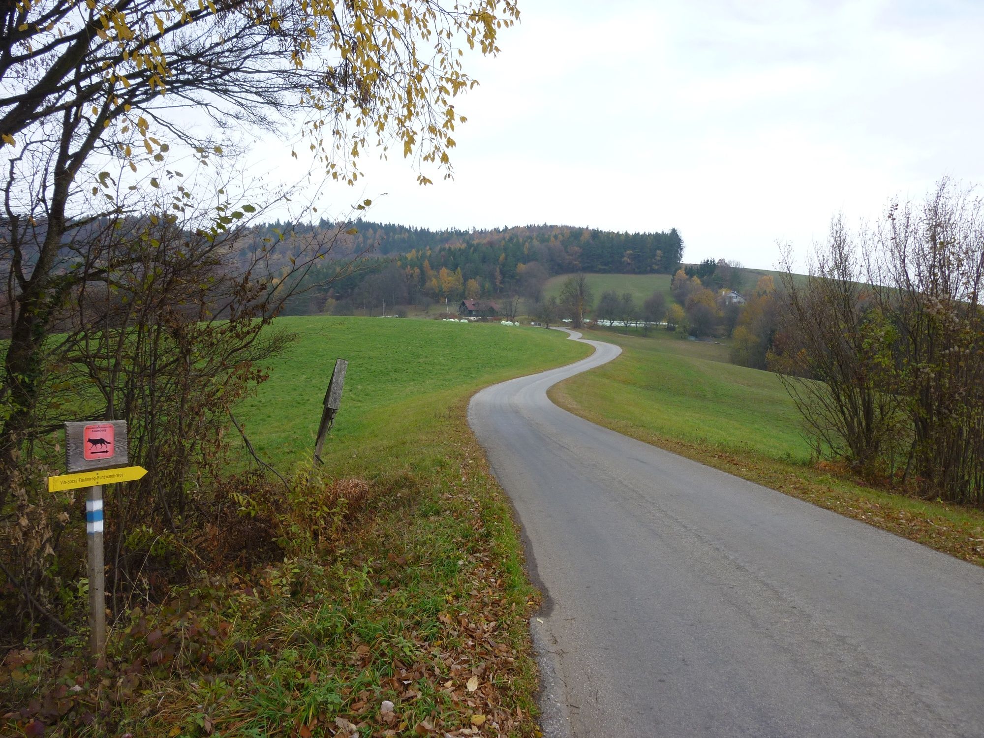 Irány Stadlmann