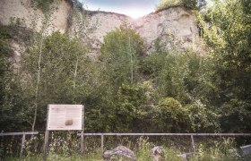 Geol&oacute;giai tan&ouml;sv&eacute;ny Mautern, &copy; Daniela Matejschek