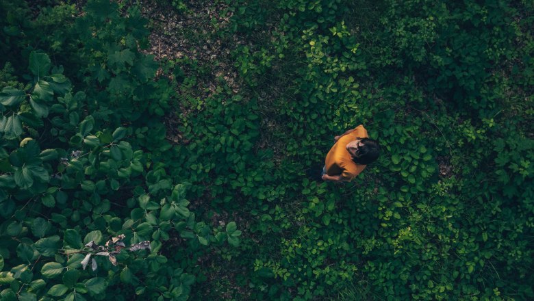 Az erdő mint a hatalom helye, © Niederösterreich Werbung/ Ian Ehm