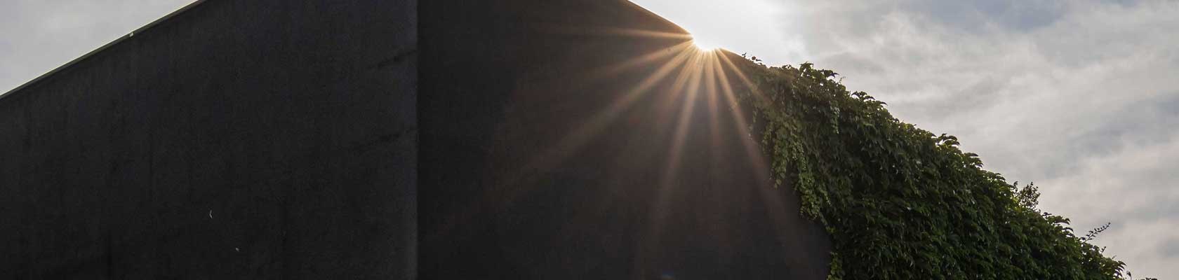 Pincészet Fred Loimer, © Niederösterreich Werbung/Michael Prügl