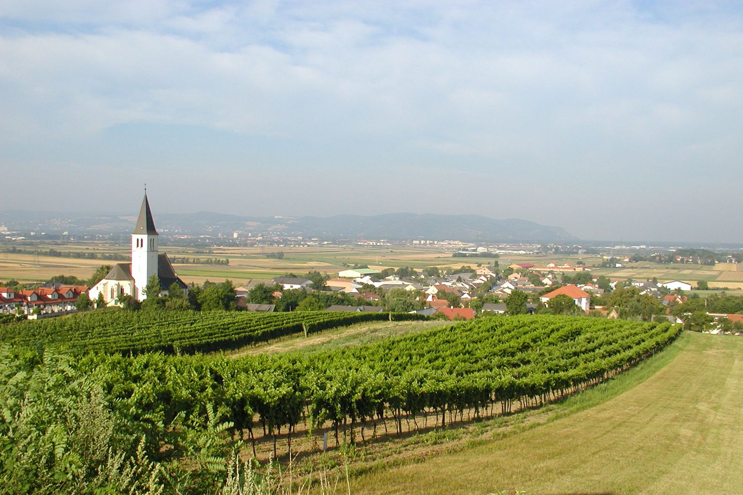Stetten látképe a templommal és a szőlőskertekkel az előtérben.