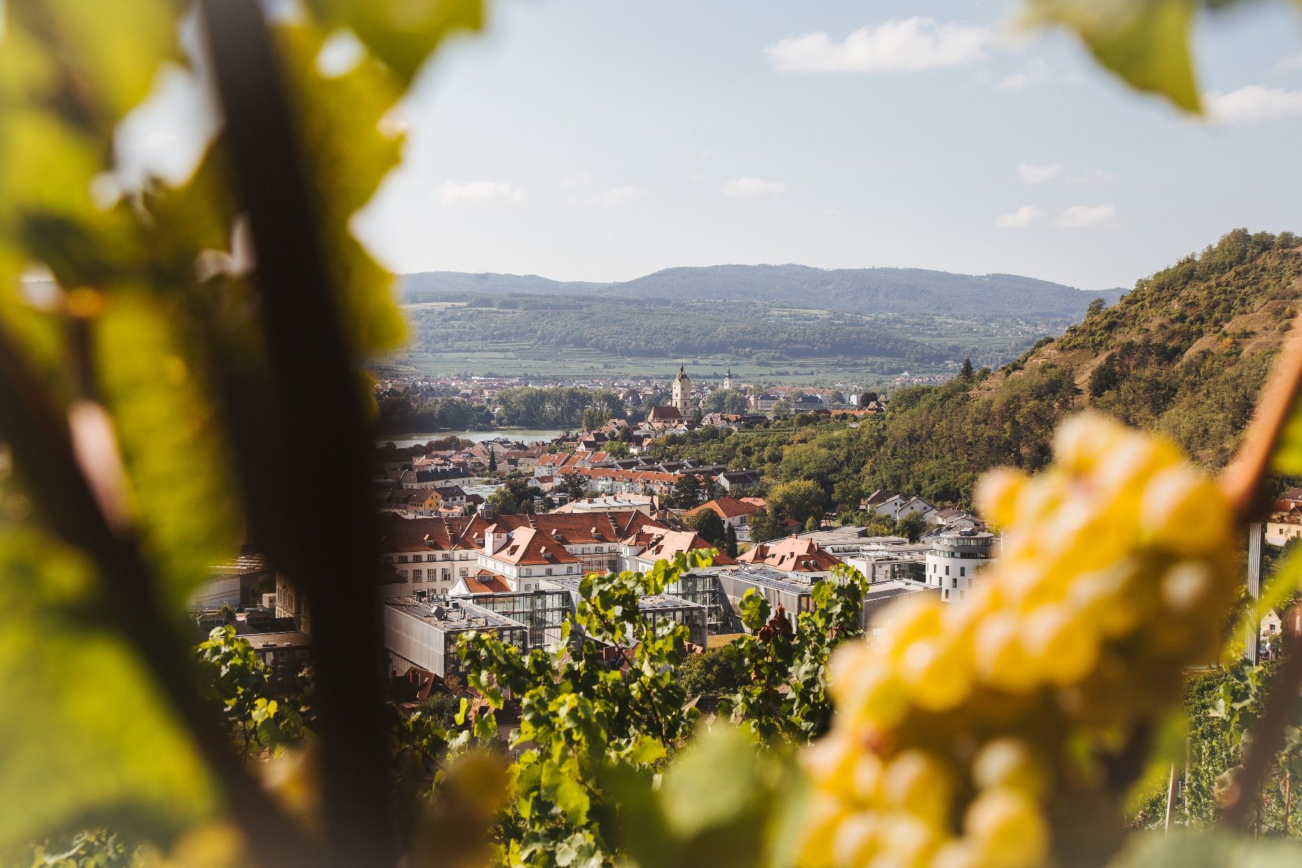 Krems-Stein látképe