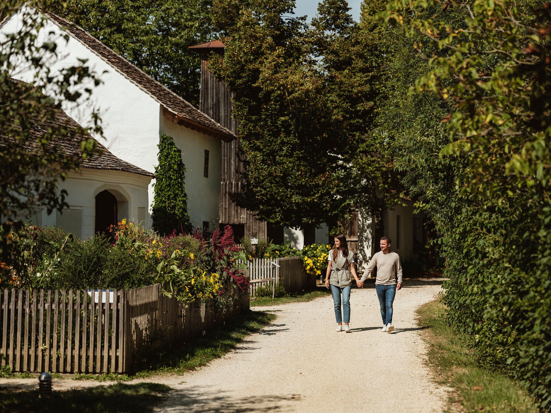 In der malerischen Umgebung des Weinviertler Museumsdorfes Niedersulz schlendern ein Paar Hand in Hand entlang einer von Bäumen gesäumten Straße. Die charmanten, historischen Gebäude und die üppige Vegetation schaffen eine einladende Atmosphäre, die zum Verweilen und Entdecken einlädt.