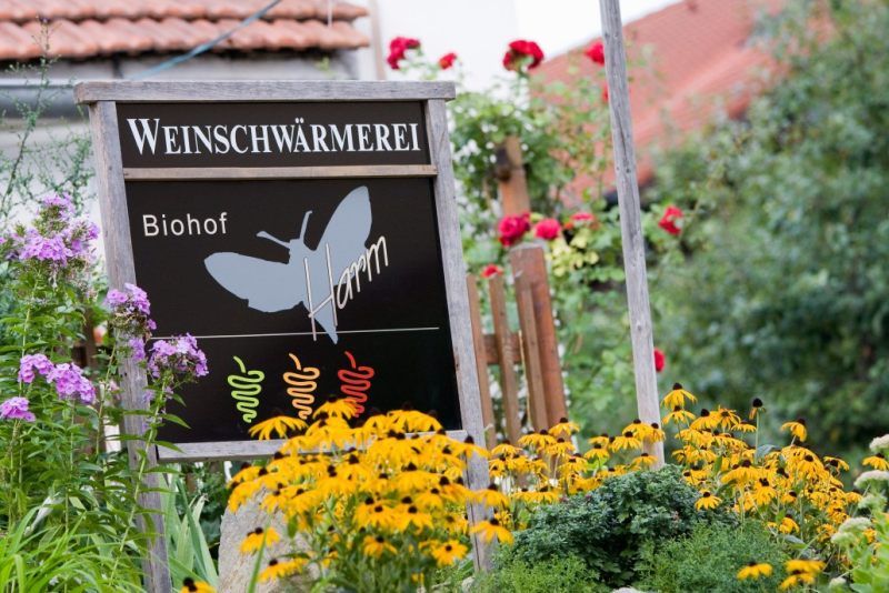 "Weinschwärmerei Biohof Harm" feliratú tábla egy virágos kertben.