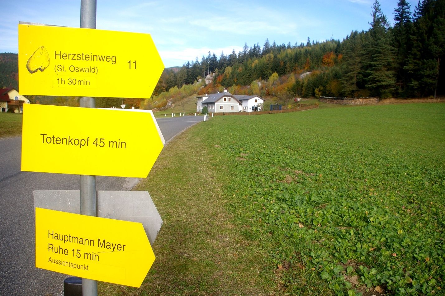 Herzstein út
