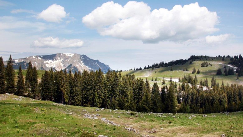 &Ouml;tscher view from the Feldwiesalm, &copy; weinfranz.at