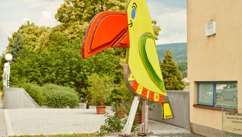 Joker Ybbs, &copy; Klaus Engelmayer