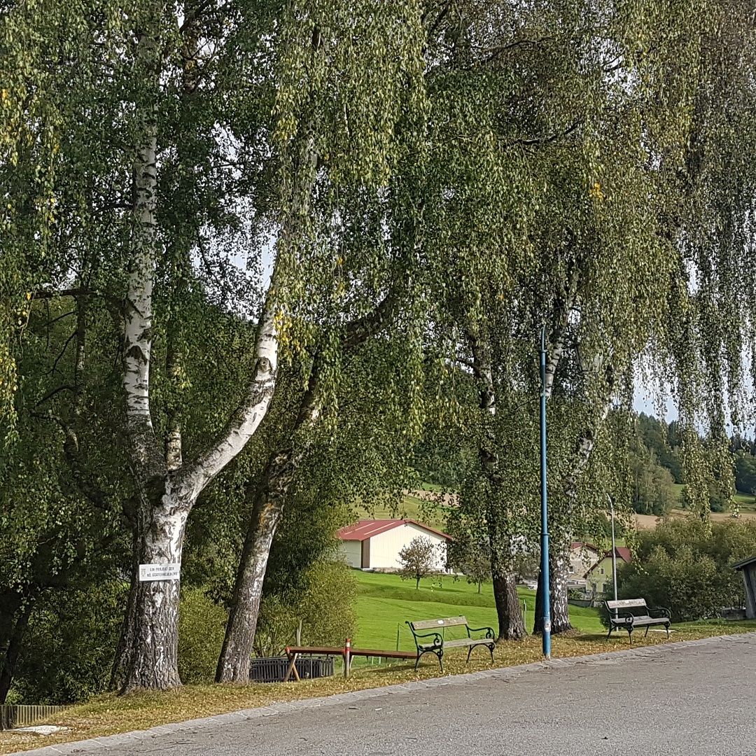 Falusi út