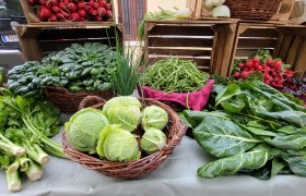Vegetables directly from the VFeld, &copy; Verena Schnatter