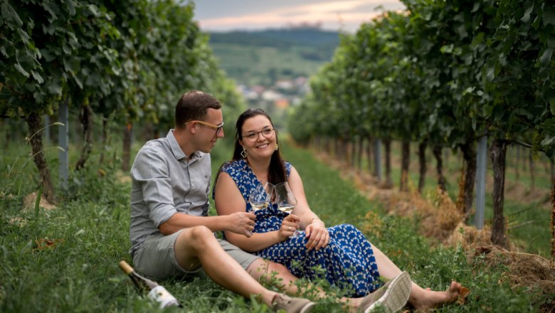 Wood hay Cover picture, &copy; Anastasia Kudryasheva
