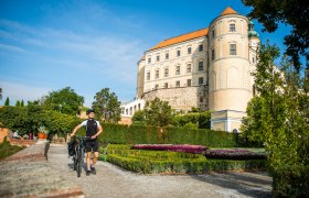Ein Abstecher nach Mikulov zahlt sich aus, © Weinviertel Tourismus / POV Robert Herbst