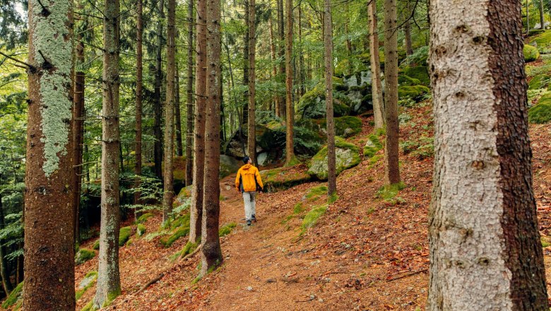 Druid path, &copy; Creative Jungle