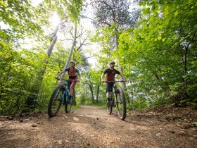 MTB Wienerwald, &copy; Wienerwald Tourismus GmbH / Markus Fr&uuml;hmann