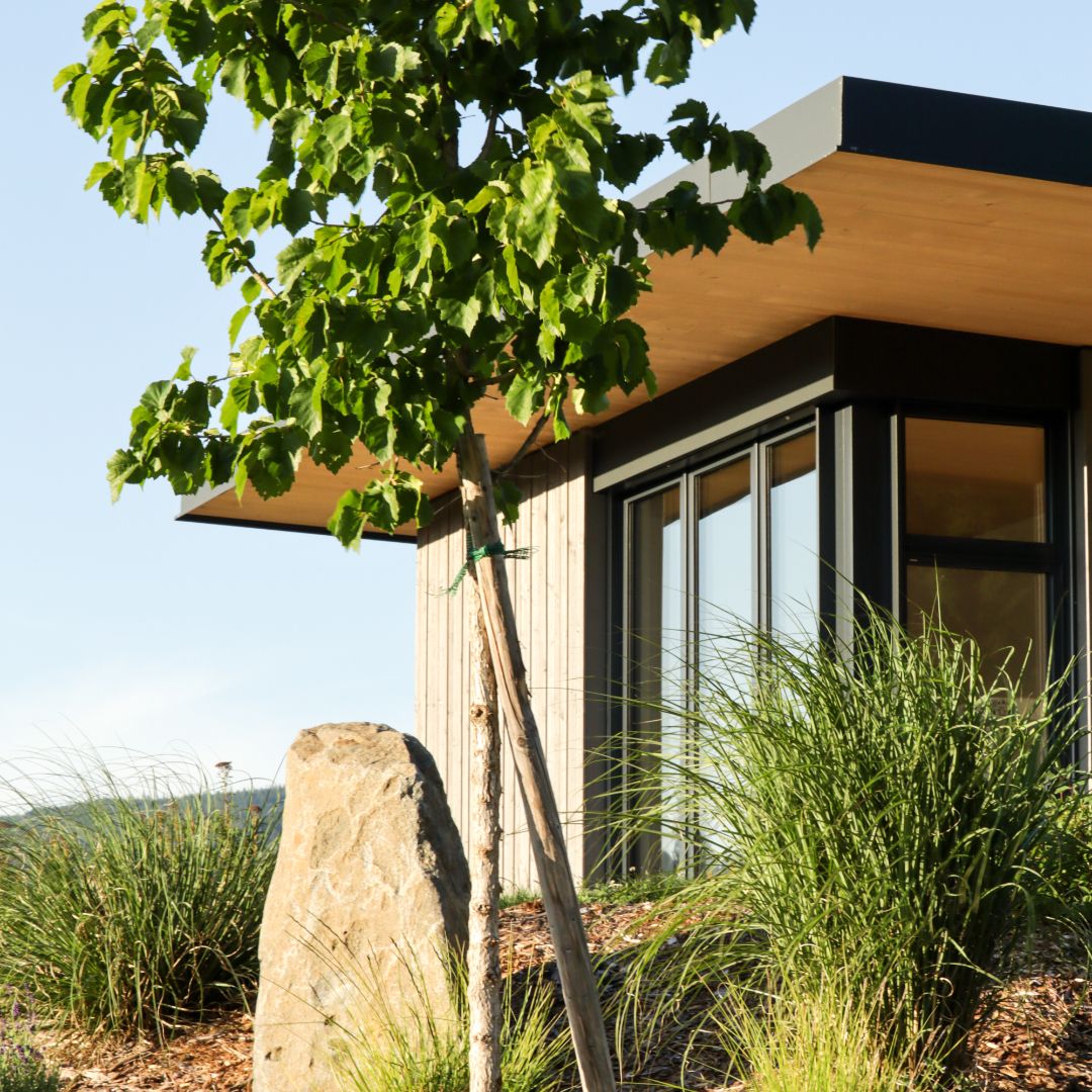 Modern faház fa burkolattal, fákkal és fűvel körülvéve.