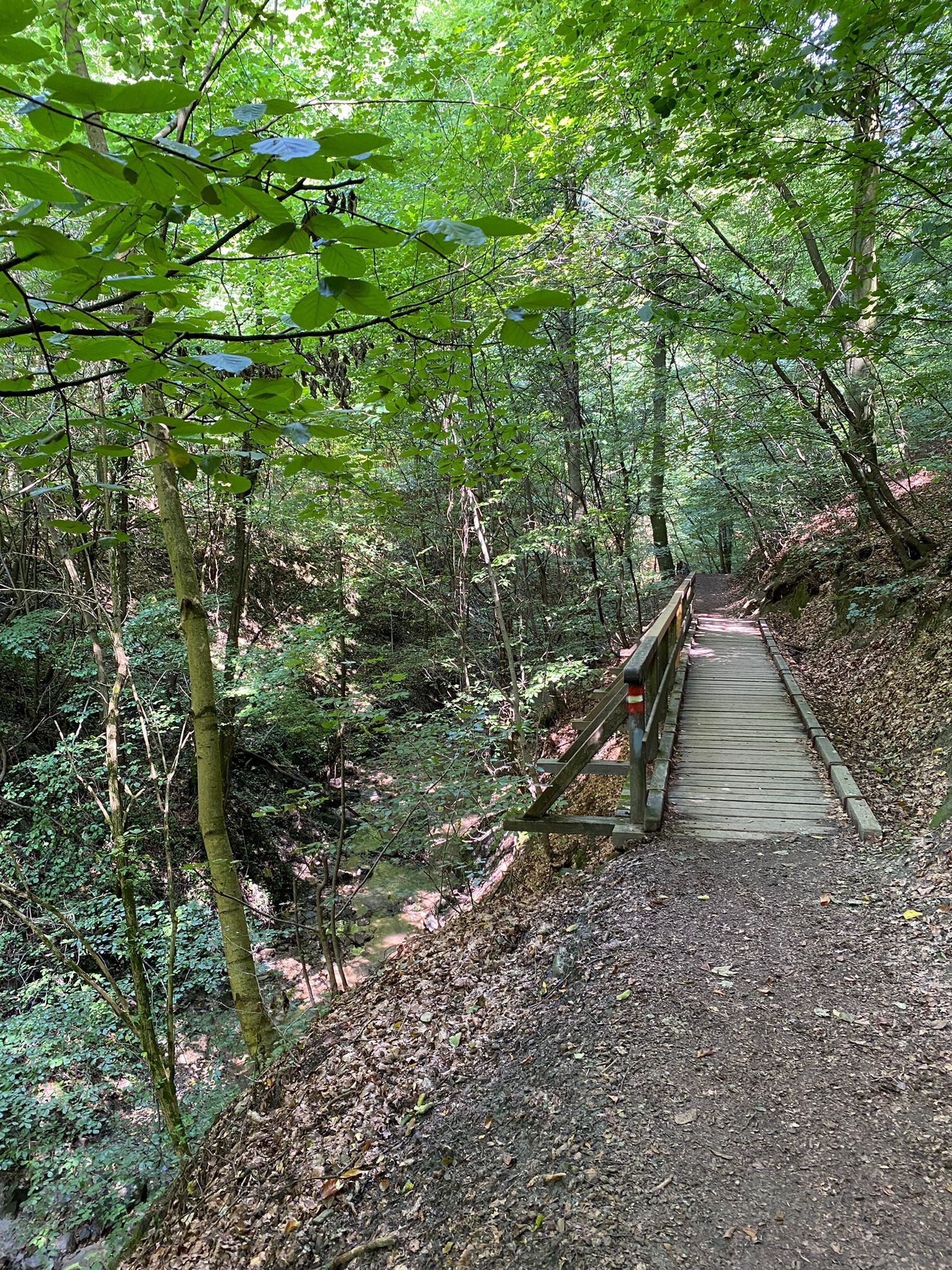 TDR Hagenbach-szurdok